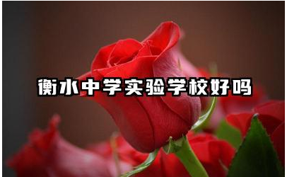 衡水中学实验学校好吗 衡水中学实验学校复读班怎么样