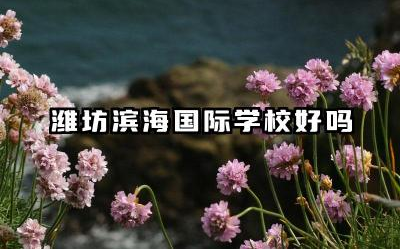 潍坊滨海国际学校好吗 潍坊滨海国际学校值得上吗