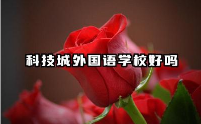 科技城外国语学校好吗 科技城外国语学校师资力量如何