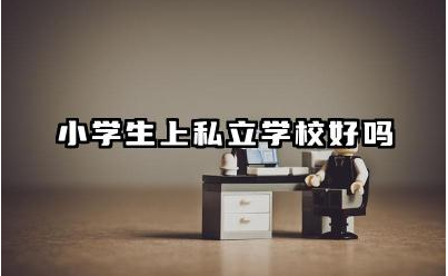小学生上私立学校好吗 小学生去私立学校值得读吗