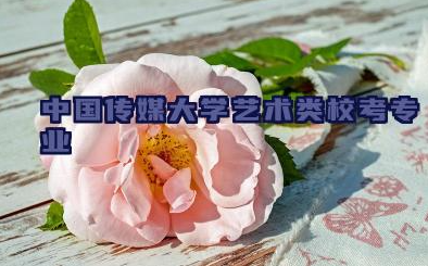 中国传媒大学艺术类校考专业分别有哪些