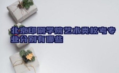 北京印刷学院艺术类校考专业分别有哪些