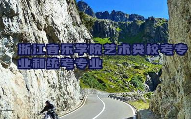 浙江音乐学院艺术类校考专业有哪些