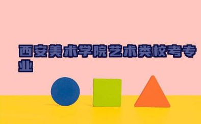 西安美术学院艺术类校考专业