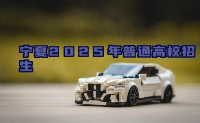 宁夏2025年普通高校招生艺术类专业统一考试通告