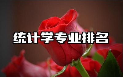 中国统计学专业排名 统计学专业就业前景如何