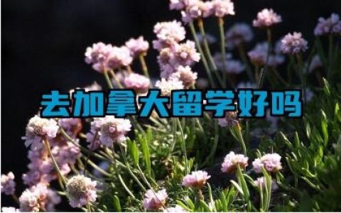 去加拿大留学好吗 去加拿大留学的条件是什么