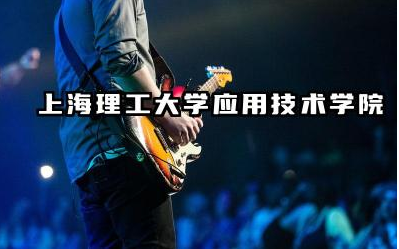 上海理工大学应用技术学院师资力量如何 该学院有哪些知名教师