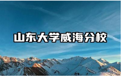 山东大学威海分校的国际化程度如何 学院有哪些国际合作项目