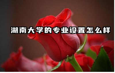 湖南大学有哪些特色专业 湖南大学的专业设置如何满足社会需求