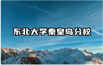东北大学秦皇岛分校的实践机会如何 学院有哪些实践基地及合作项目