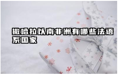 撒哈拉以南非洲有哪些法语系国家 这些法语系国家的历史背景如何