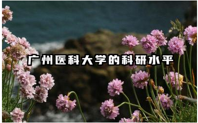 广州医科大学科研水平如何 广州医科大学科研方向有哪些