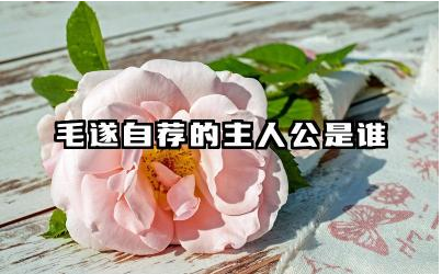 毛遂自荐的主人公是谁 毛遂自荐的故事背景是什么