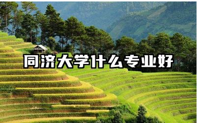 同济大学哪些专业比较好 同济大学的报考优势在哪儿