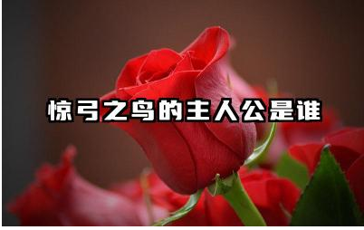 惊弓之鸟的故事主人公是谁 惊弓之鸟的典故及主人公经历分析