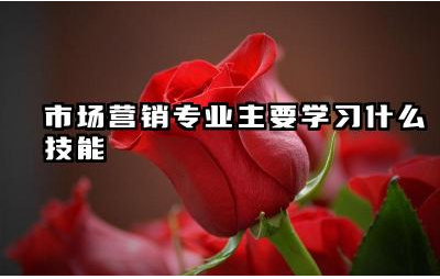 市场营销专业主要学习什么技能 市场营销专业未来的发展趋势如何