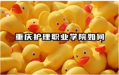 重庆护理职业学院如何 重庆护理职业学院的教学质量评价