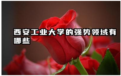 西安工业大学的强势领域有哪些 西安工业大学高层次人才引进