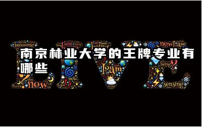 南京林业大学的王牌专业有哪些 南京林业大学毕业生就业前景