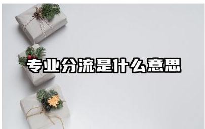 专业分流是什么意思 专业分流对学生有哪些影响
