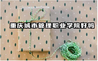 重庆城市管理职业学院好吗 重庆城市管理职业学院有什么专业