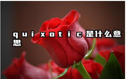 Quixotic 与理想主义有什么关联 quixotic是什么意思