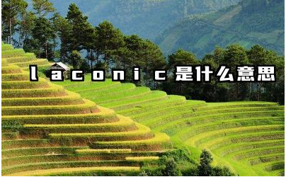 Laconic 与简洁和精炼有什么关系 如何使用 laconic 这个词