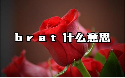 Brat 这个词的贬义是什么 如何使用 brat 这个词
