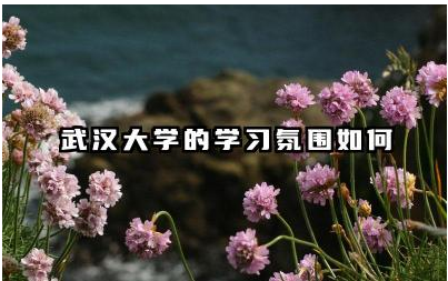 武汉大学的师资力量如何 武汉大学的校园生活怎么样