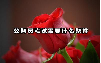 公务员考试需要什么条件 公务员考试如何备考提高通过率