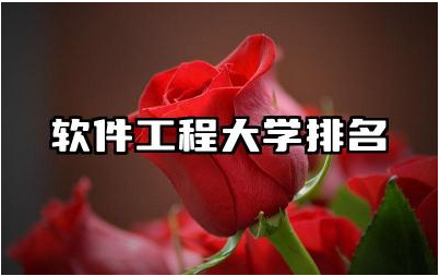 软件工程大学排名榜 软件工程专业的学习内容和技能要求