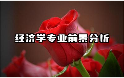 经济学专业前景分析 经济学专业毕业生主要就业领域