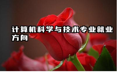 2025计算机科学与技术专业就业方向有哪些
