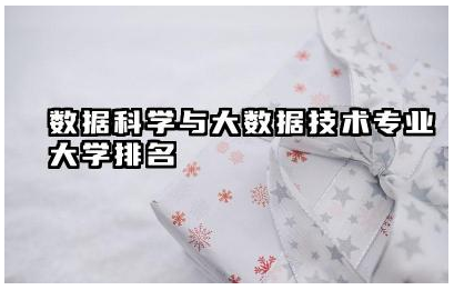 2025数据科学与大数据技术专业大学排名榜