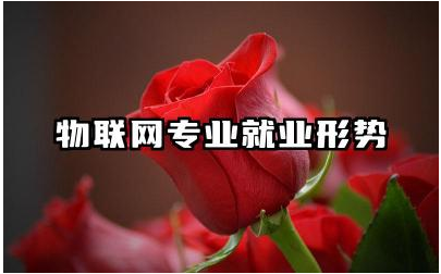 物联网专业就业形势如何 物联网专业是干嘛的