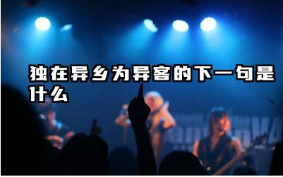 独在异乡为异客的下一句是什么 忆山东兄弟山东指哪里