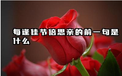 每逢佳节倍思亲的前一句是什么 每逢佳节倍思亲表达的情感