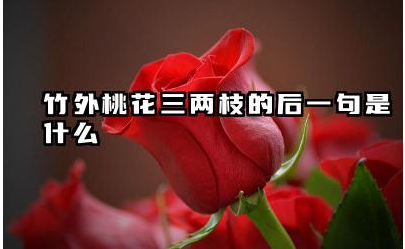 竹外桃花三两枝的后一句是什么 苏轼经历过靖康之耻吗