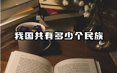 我国共有多少个民族 我国各民族的文化特点有哪些差异