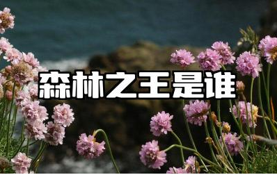 森林之王是谁 森林之王如何维护自己的地位