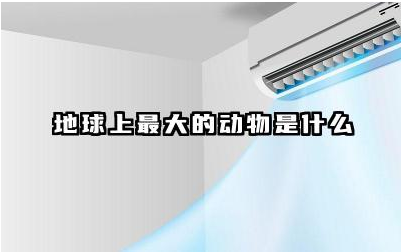 地球上最大的动物是什么 人类的祖先是鱼吗