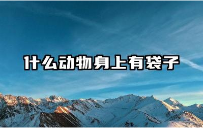 什么动物身上有袋子 有袋类动物是哺乳动物吗