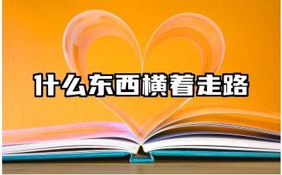 什么东西横着走路 横着走路对螃蟹有什么好处