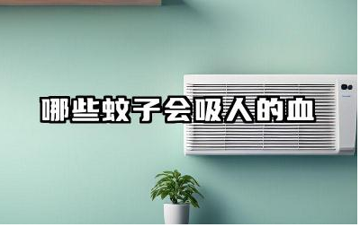 哪些蚊子会吸人的血 能导致人死亡的蚊子叫什么