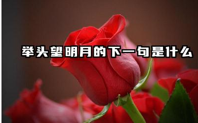 举头望明月的下一句是什么 静夜思表达了李白的什么感情