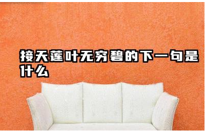 接天莲叶无穷碧的下一句是什么 接天莲叶无穷碧写的是哪个湖