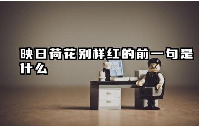 映日荷花别样红的前一句是什么 映日荷花别样红描绘了什么画面