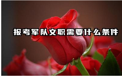 报考军队文职需要什么条件 军队文职的选拔流程