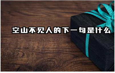 空山不见人的下一句是什么 王维被称为什么称号